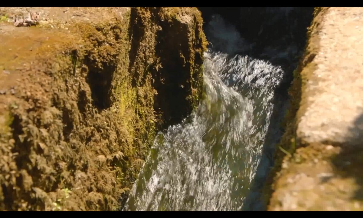 Screenshot_20260528_103529_com.yandex.browser