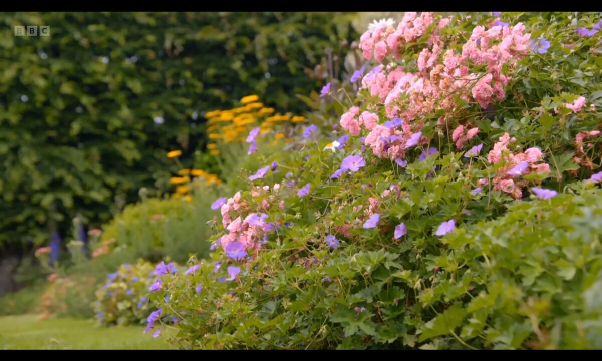Screenshot_20260528_105042_com.yandex.browser
