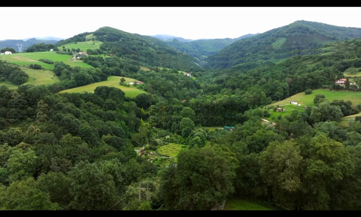 Screenshot_20260528_110048_com.yandex.browser