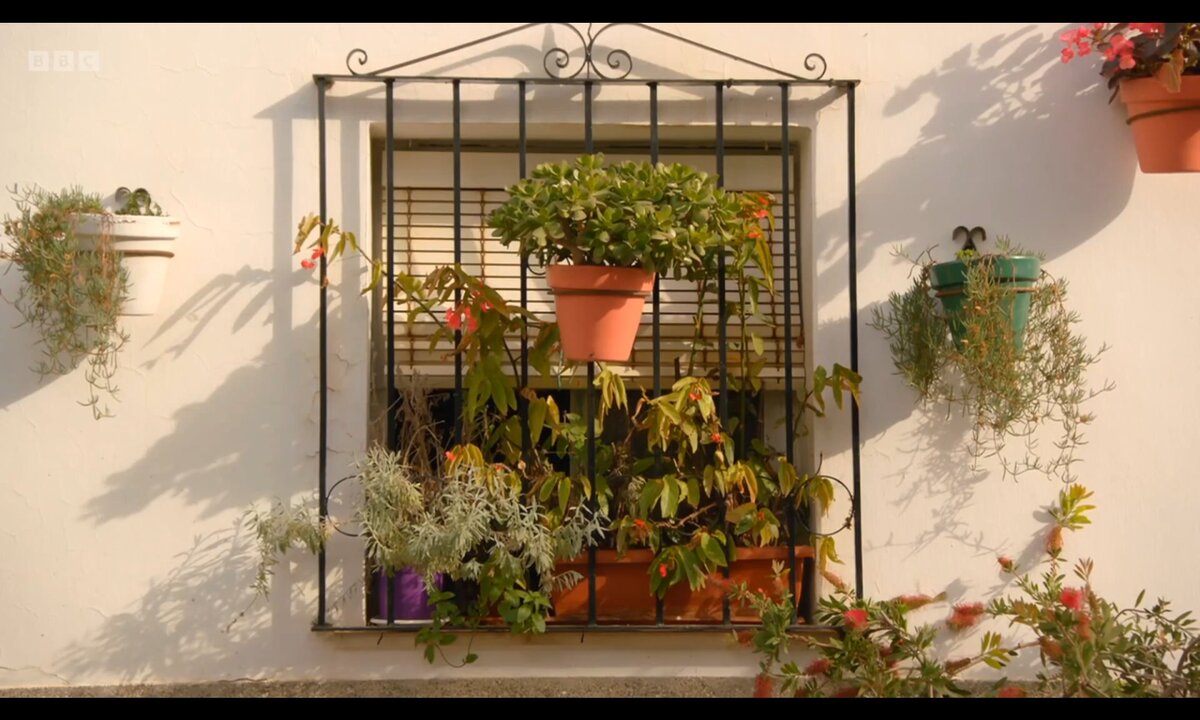 Screenshot_20260528_133159_com.yandex.browser