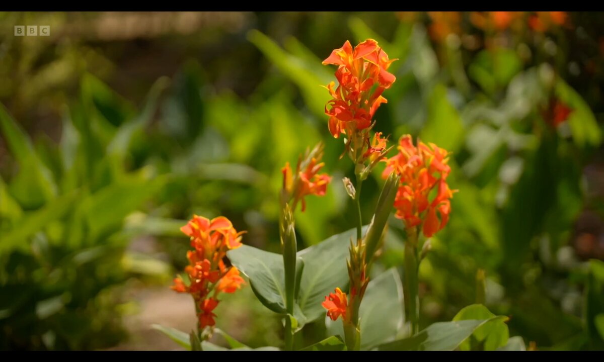 Screenshot_20260528_135953_com.yandex.browser