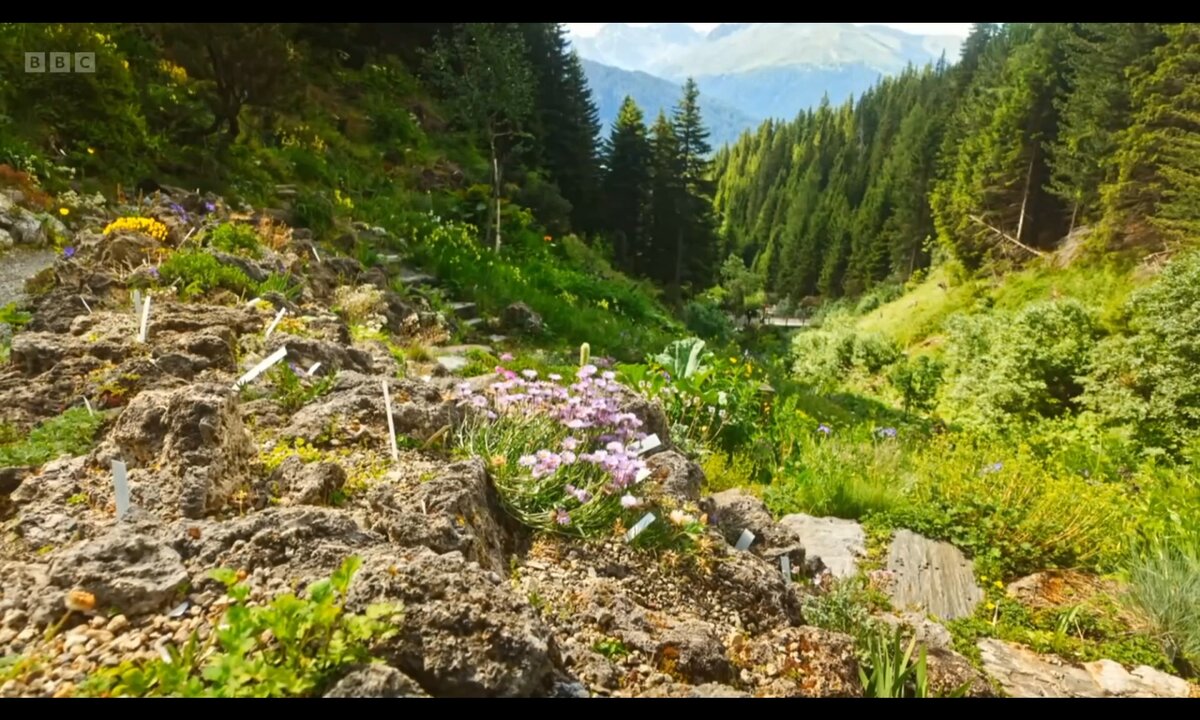 Screenshot_20260529_090803_com.yandex.browser
