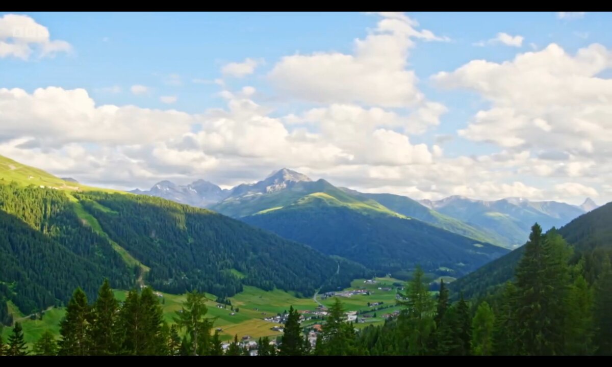 Screenshot_20260529_090844_com.yandex.browser