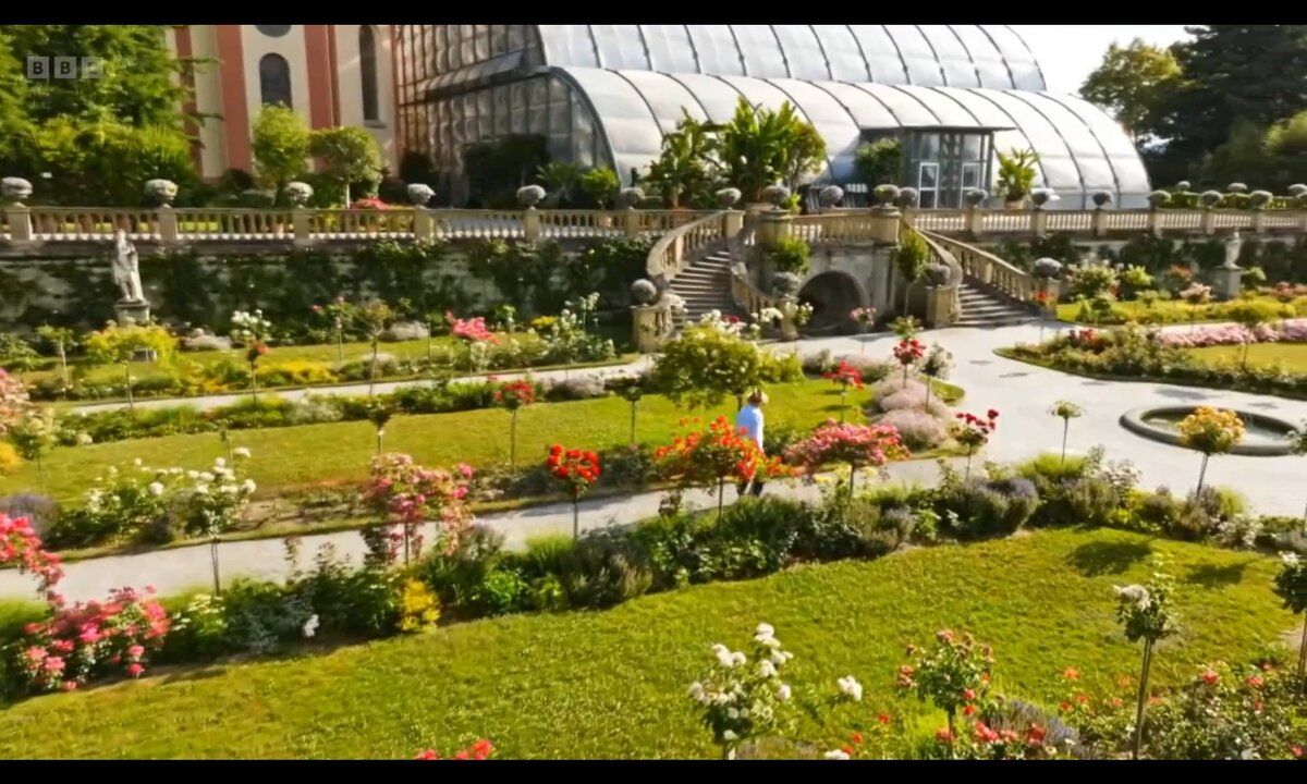 Screenshot_20260529_091826_com.yandex.browser