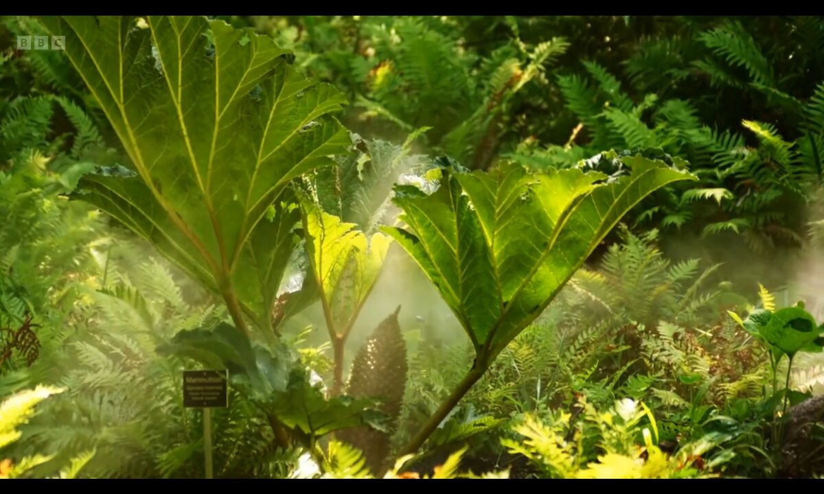 Screenshot_20260529_092219_com.yandex.browser