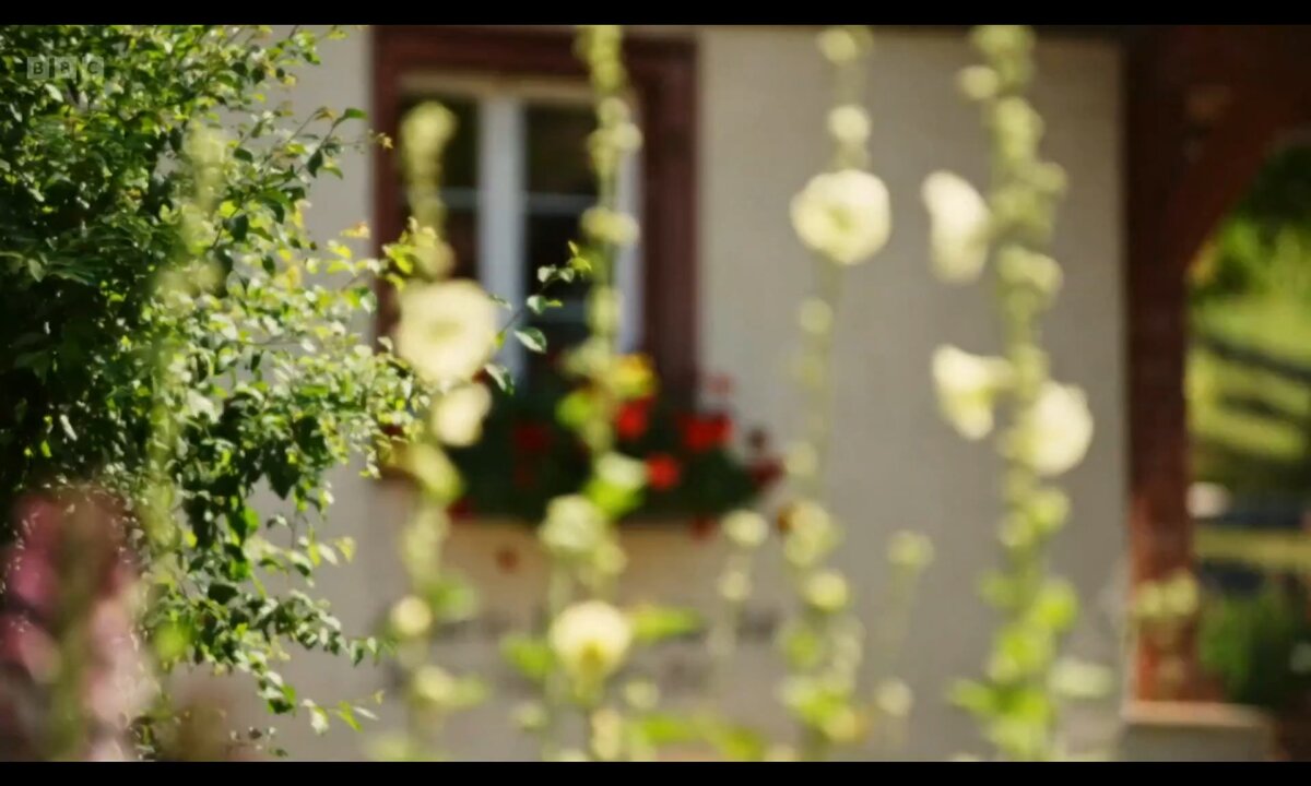 Screenshot_20260529_093517_com.yandex.browser