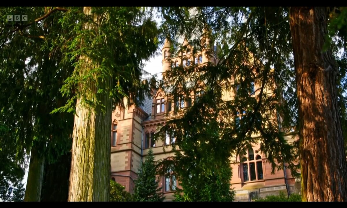 Screenshot_20260529_114247_com.yandex.browser