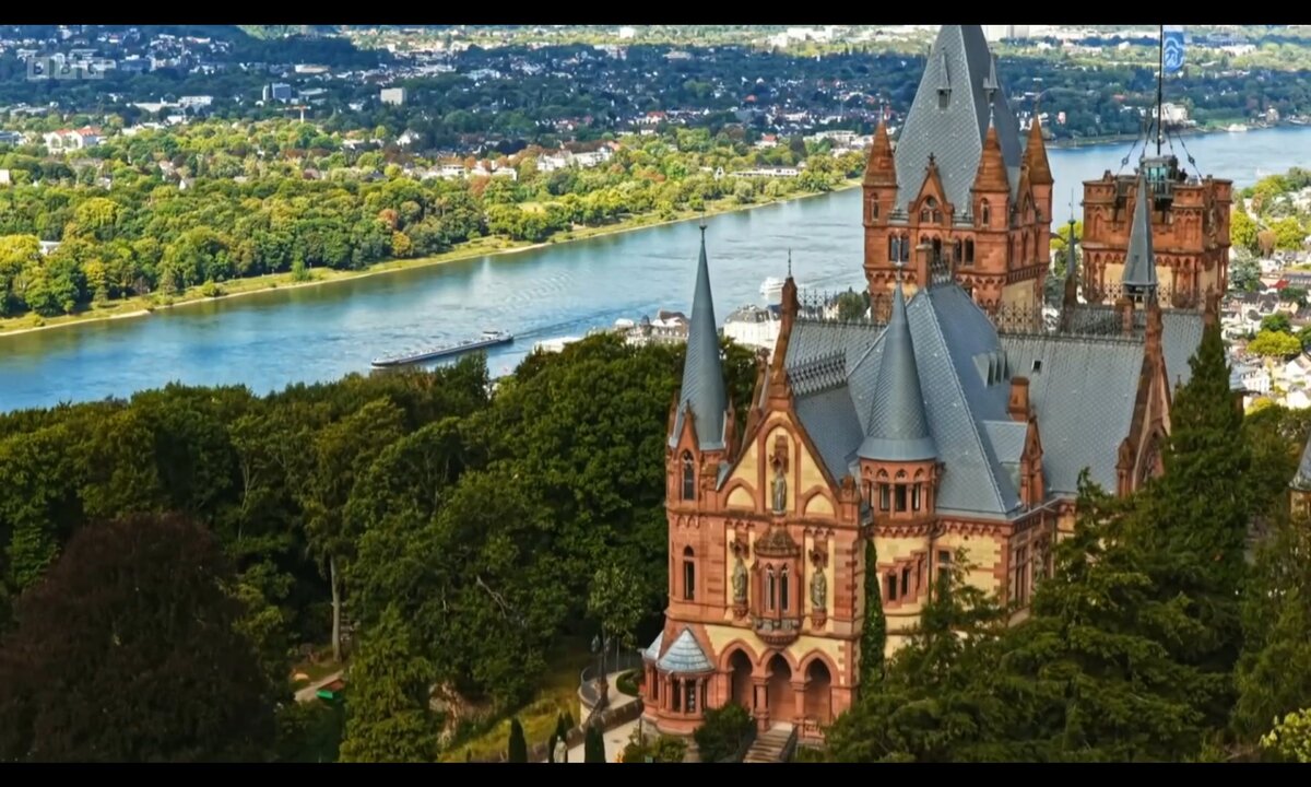 Screenshot_20260529_114253_com.yandex.browser