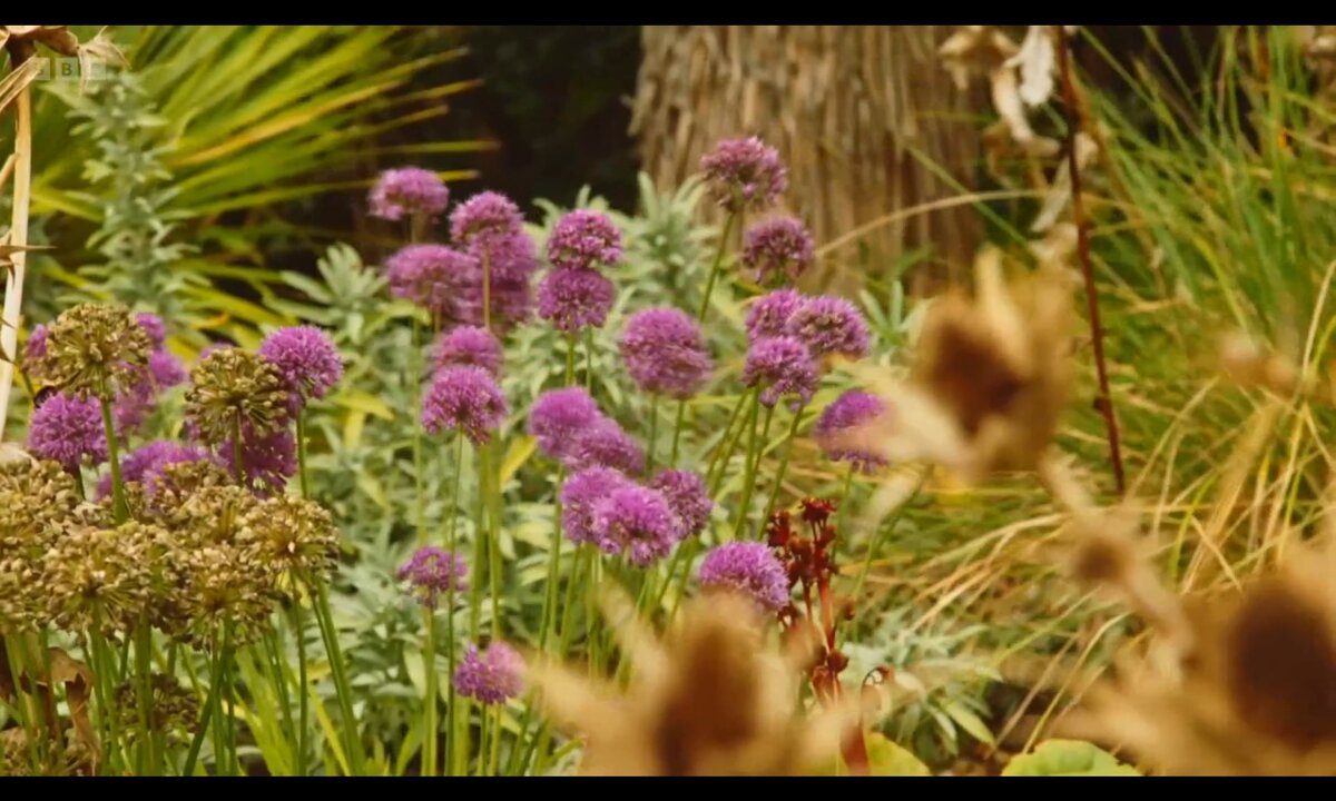 Screenshot_20260529_123943_com.yandex.browser