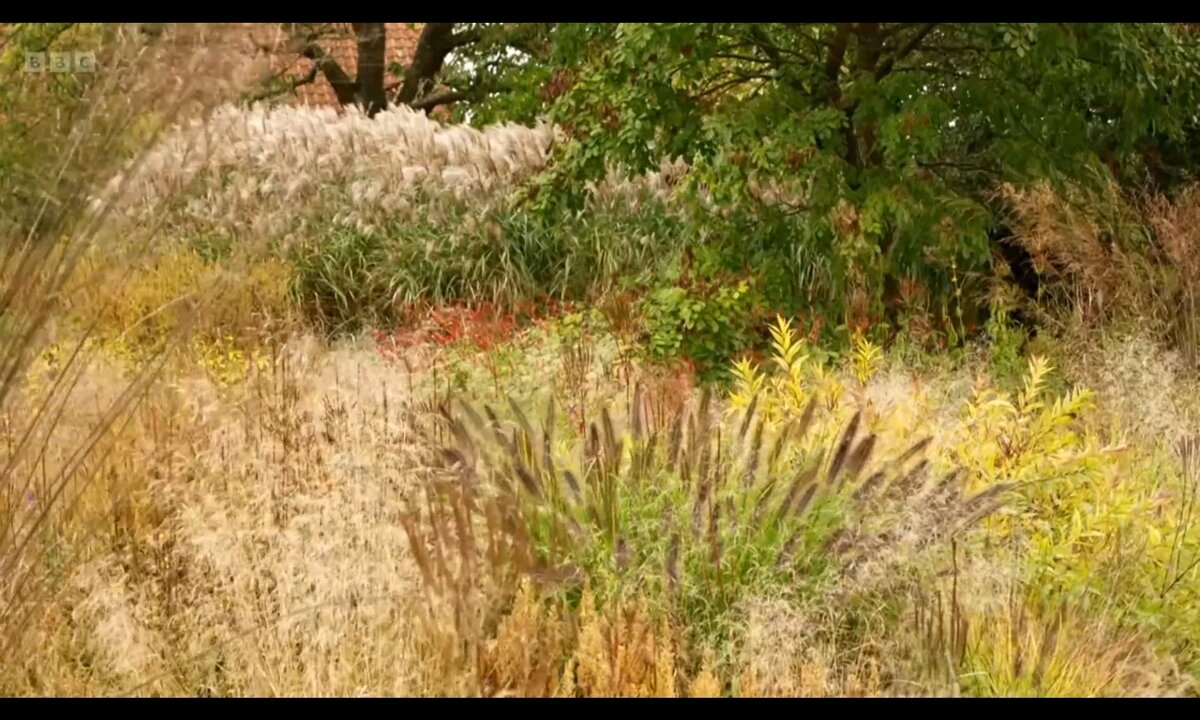 Screenshot_20260529_150148_com.yandex.browser