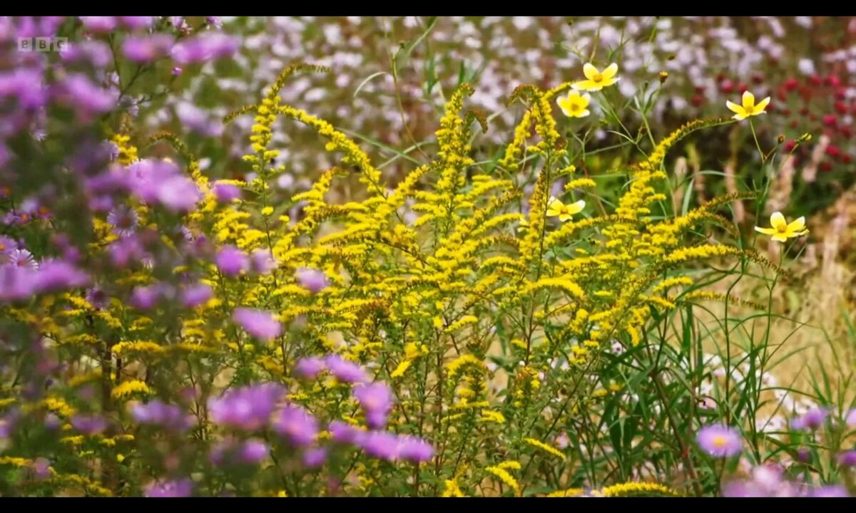 Screenshot_20260529_150937_com.yandex.browser