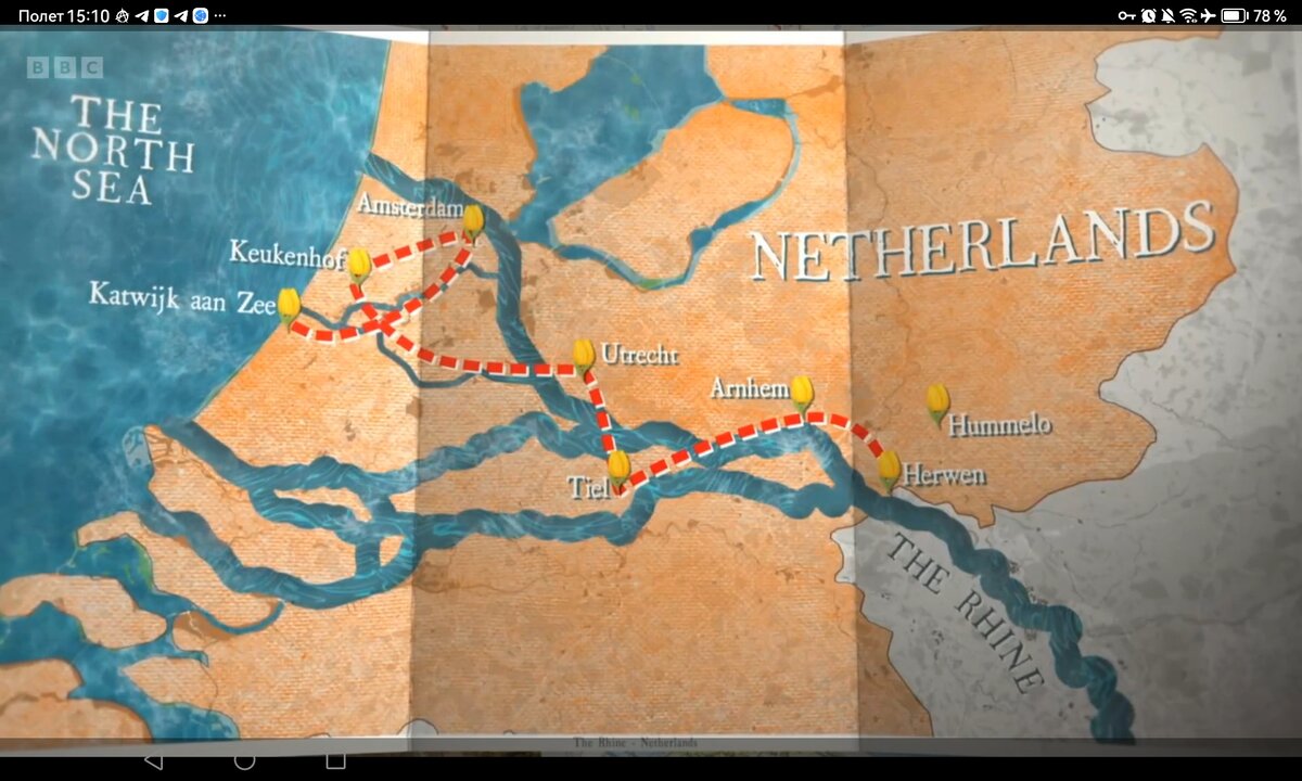 Screenshot_20260529_151025_com.yandex.browser