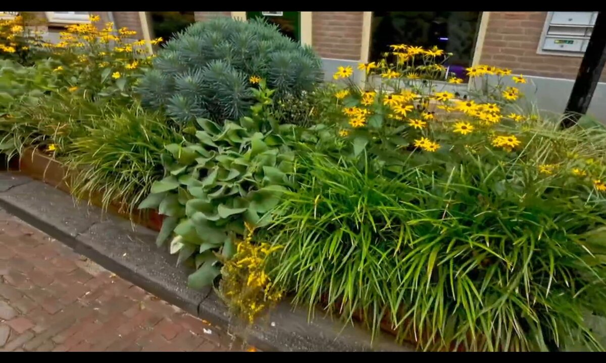 Screenshot_20260529_151855_com.yandex.browser