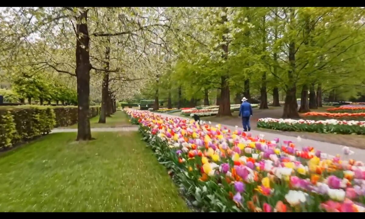 Screenshot_20260529_152744_com.yandex.browser