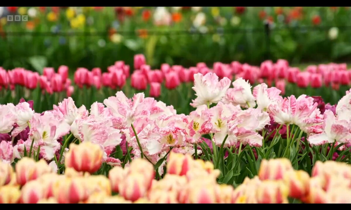 Screenshot_20260529_152802_com.yandex.browser