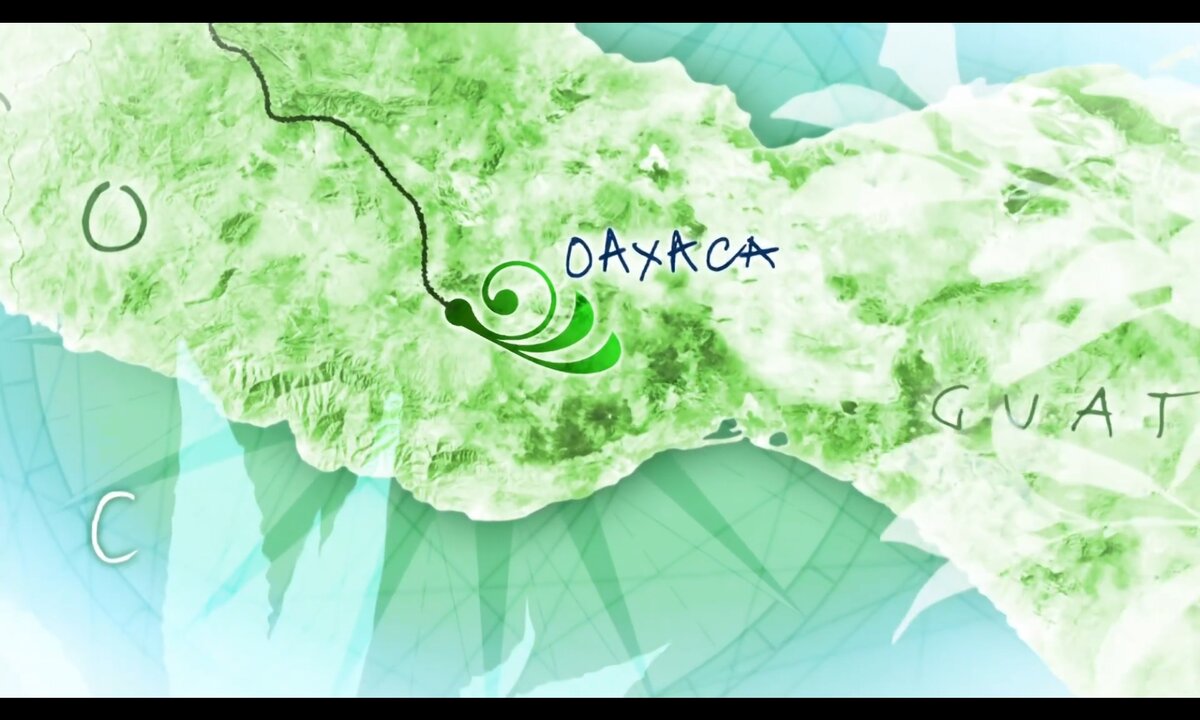 Screenshot_20260530_155427_com.yandex.browser