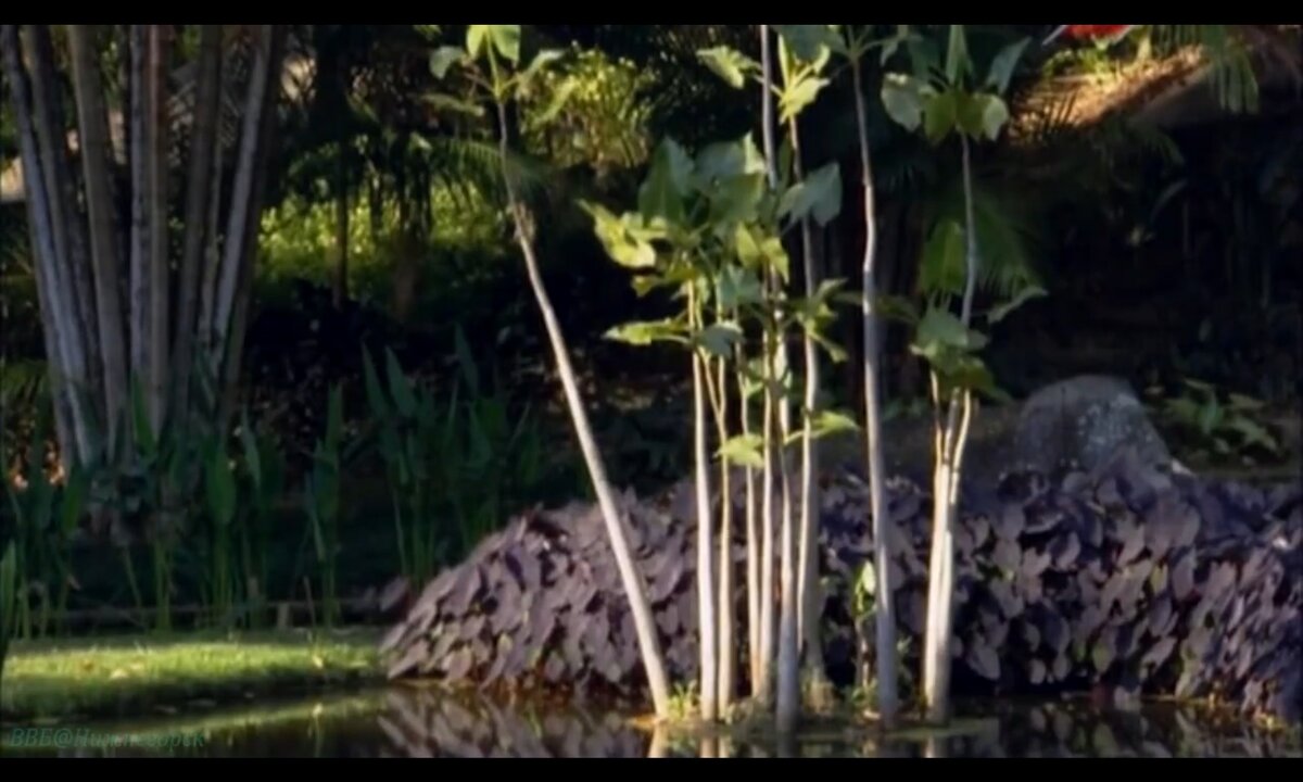 Screenshot_20260530_205037_com.yandex.browser