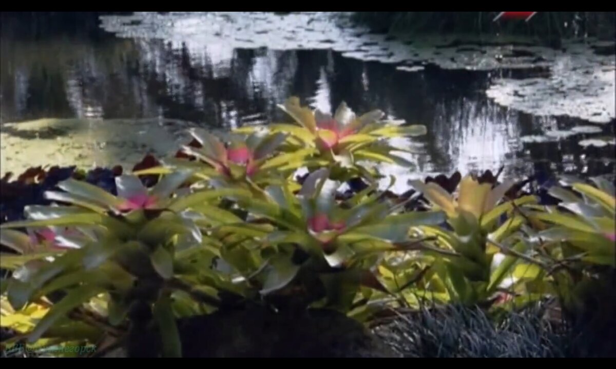 Screenshot_20260530_205222_com.yandex.browser