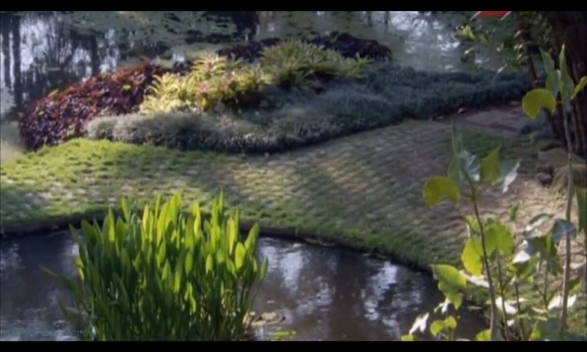 Screenshot_20260530_205450_com.yandex.browser