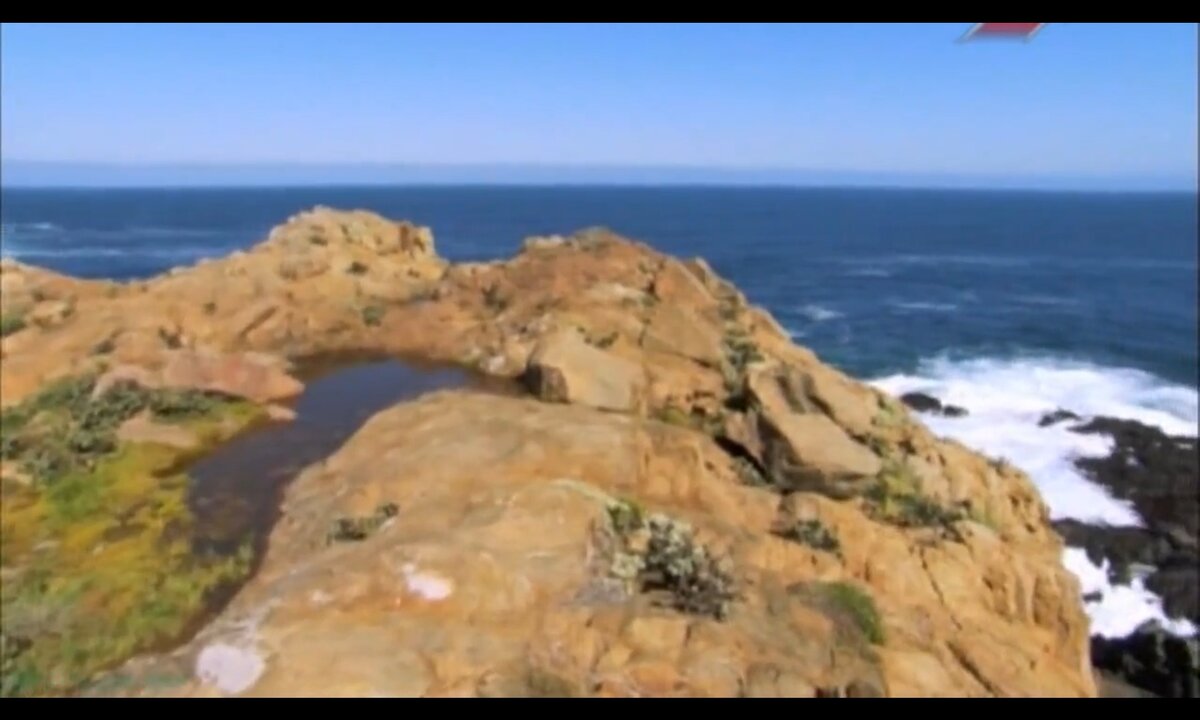 Screenshot_20260530_235221_com.yandex.browser