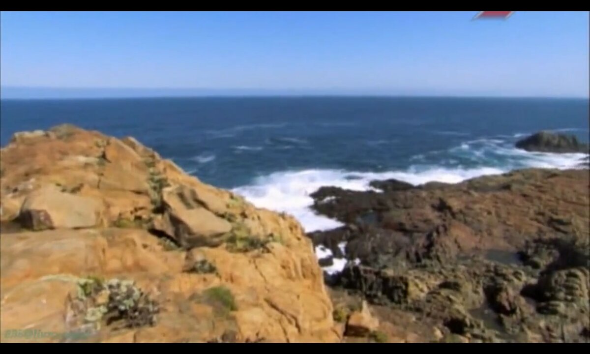 Screenshot_20260530_235224_com.yandex.browser