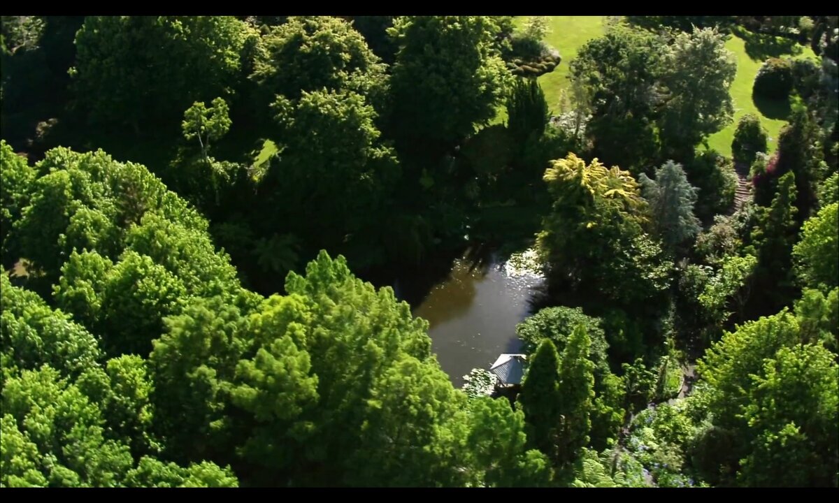 Screenshot_20260531_181933_com.yandex.browser