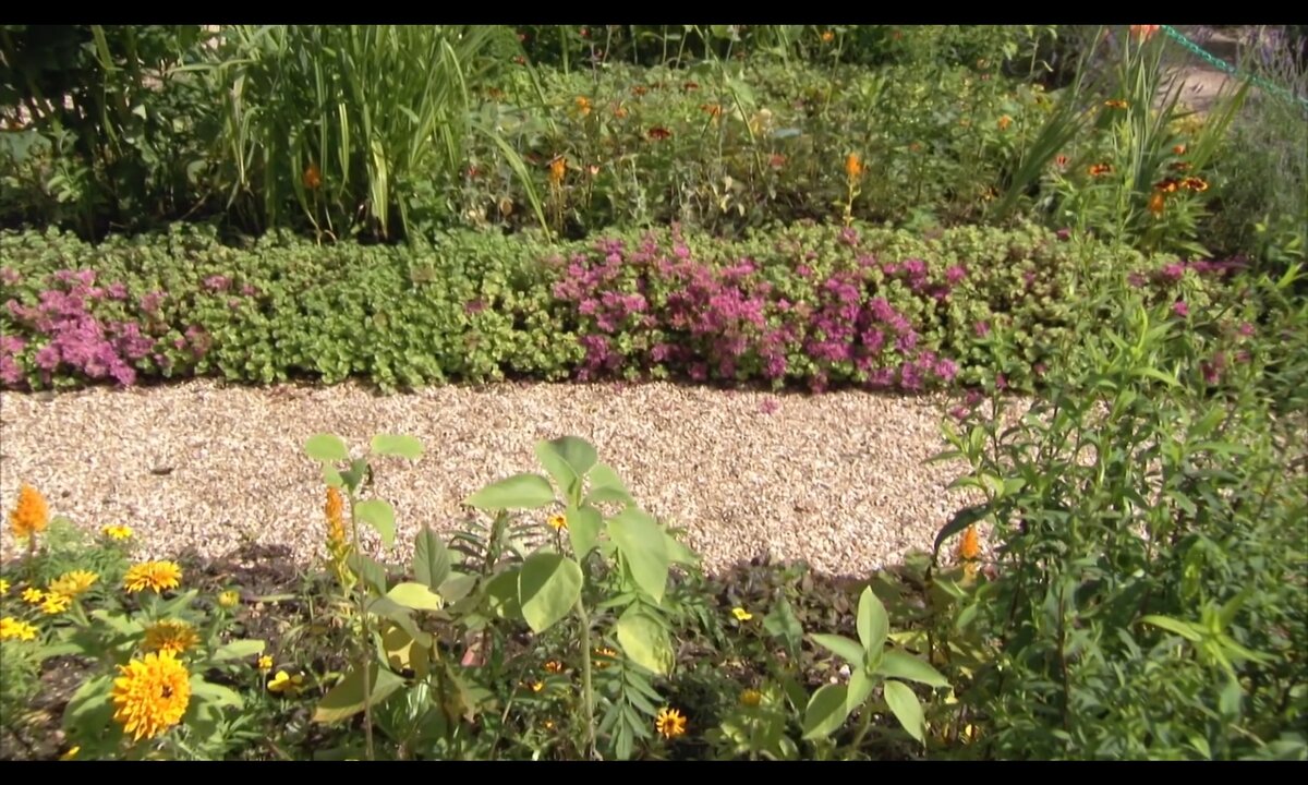 Screenshot_20260603_093155_com.yandex.browser