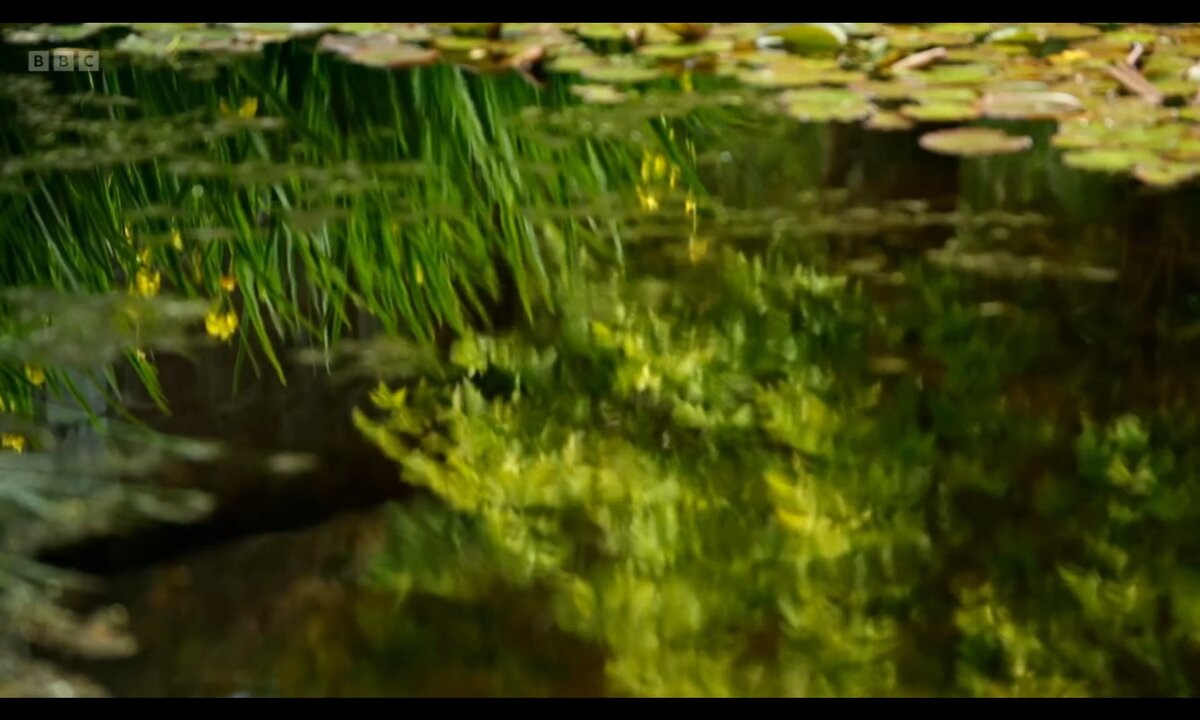 Screenshot_20260610_151518_com.yandex.browser