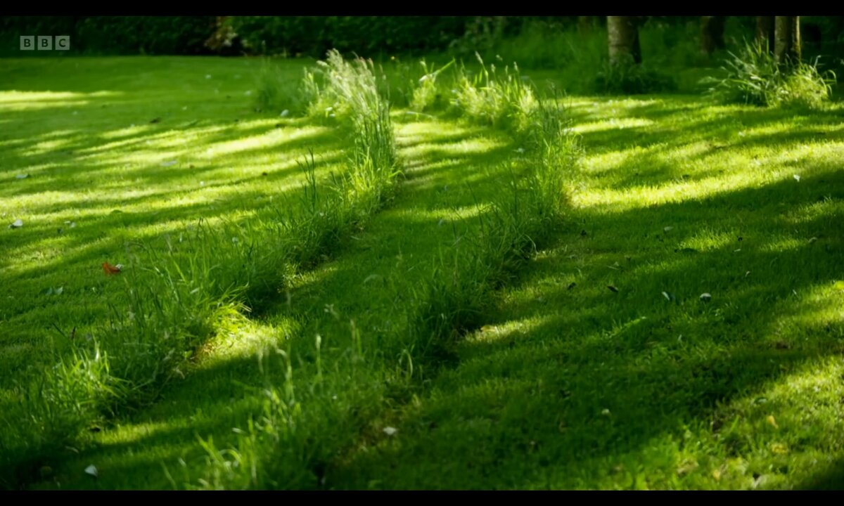 Screenshot_20260610_151827_com.yandex.browser