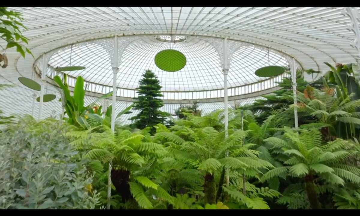 Screenshot_20260610_184945_com.yandex.browser
