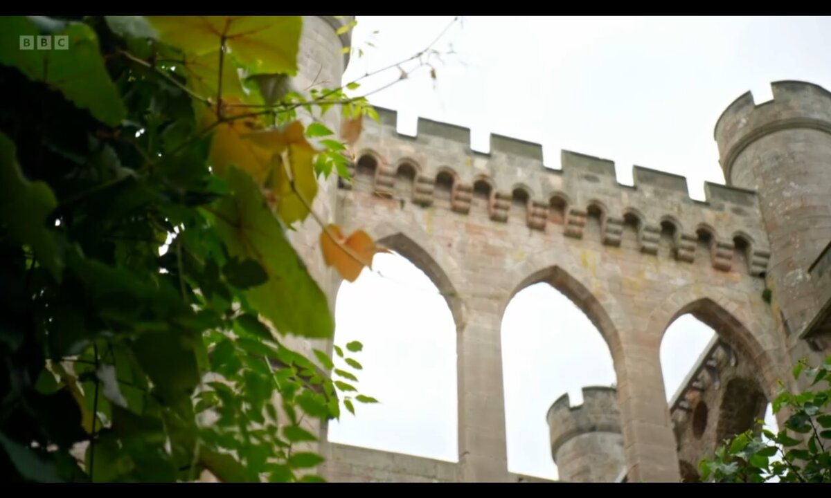 Screenshot_20260611_084957_com.yandex.browser