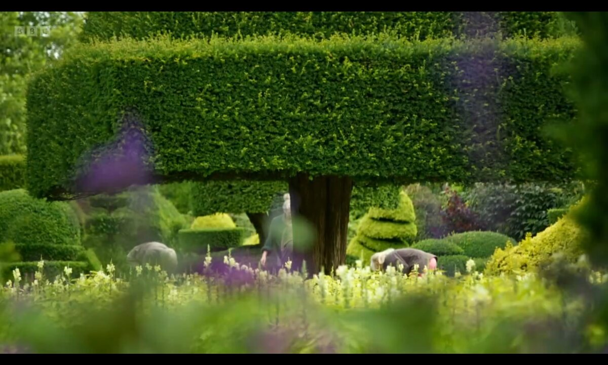Screenshot_20260611_091201_com.yandex.browser