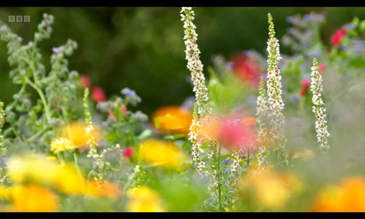 Screenshot_20260611_091314_com.yandex.browser