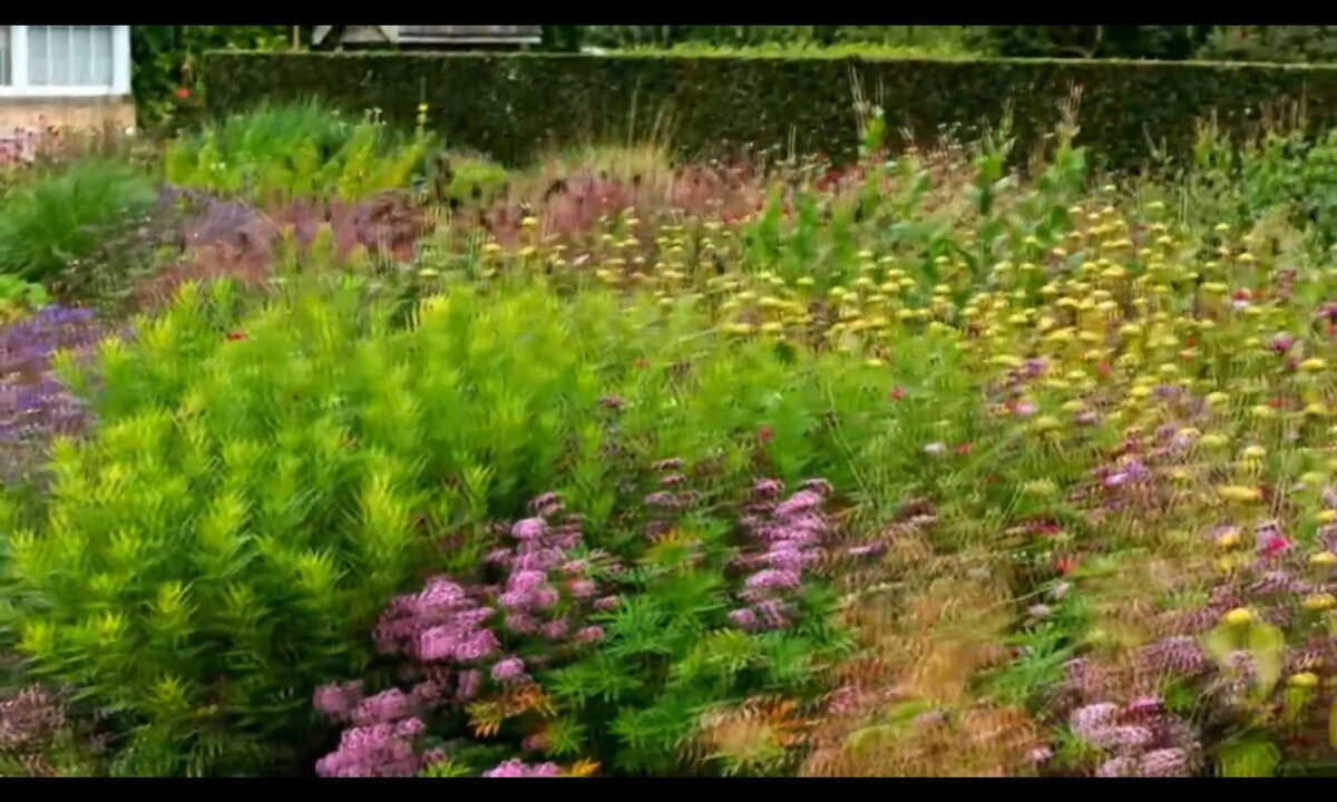 Screenshot_20260611_094819_com.yandex.browser