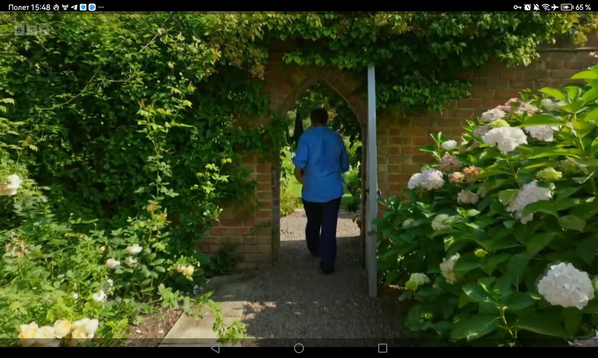 Screenshot_20260611_154812_com.yandex.browser