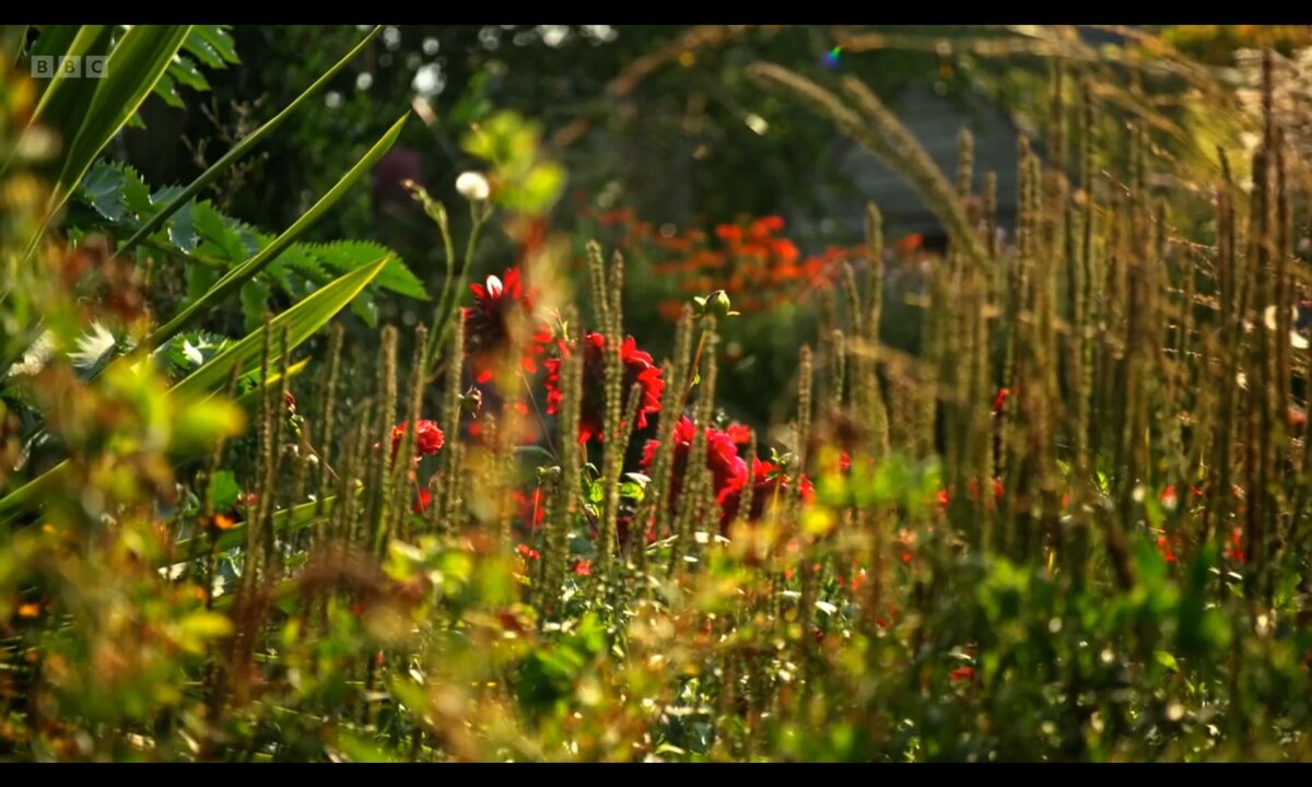 Screenshot_20260611_155055_com.yandex.browser