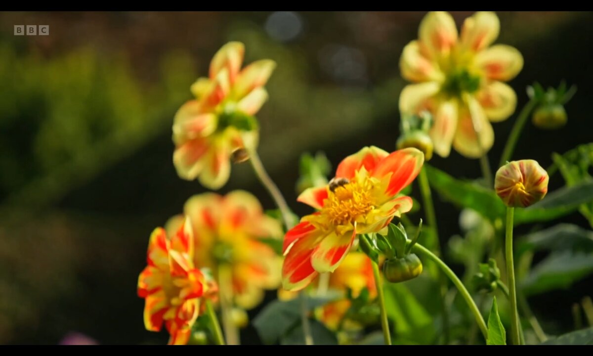 Screenshot_20260611_155306_com.yandex.browser