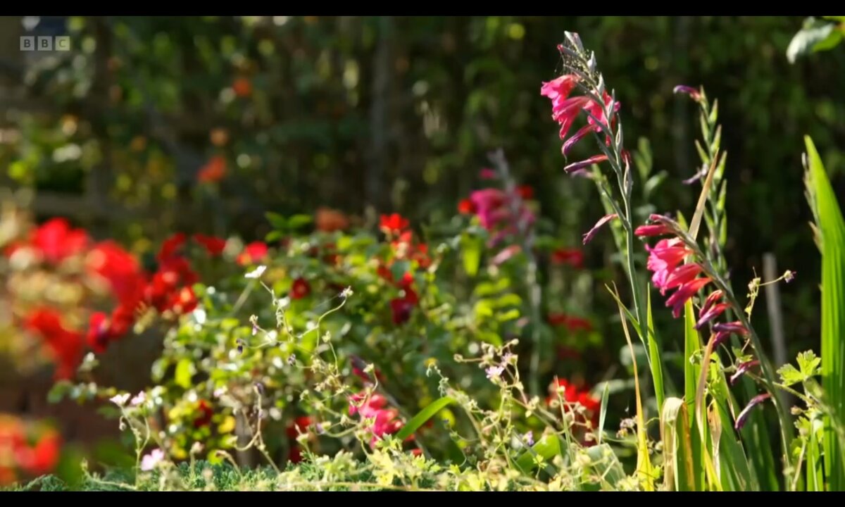 Screenshot_20260611_195426_com.yandex.browser