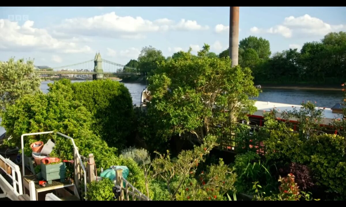 Screenshot_20260611_195524_com.yandex.browser