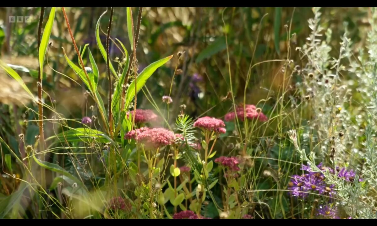 Screenshot_20260611_202223_com.yandex.browser