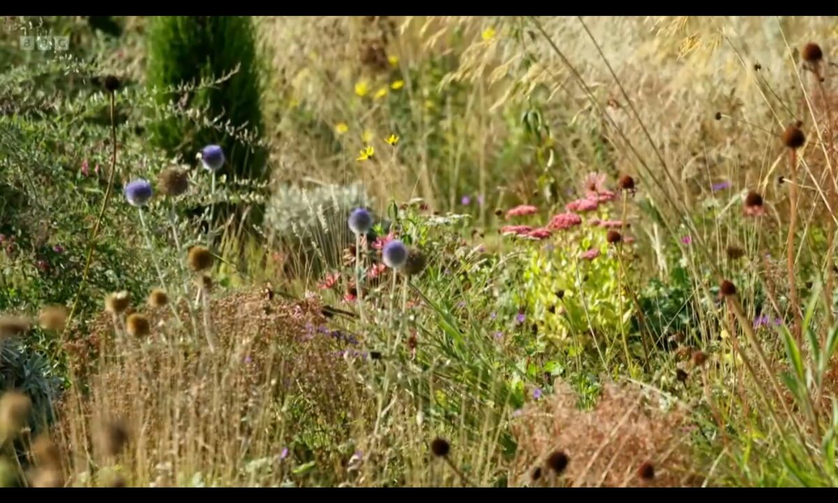 Screenshot_20260611_202244_com.yandex.browser