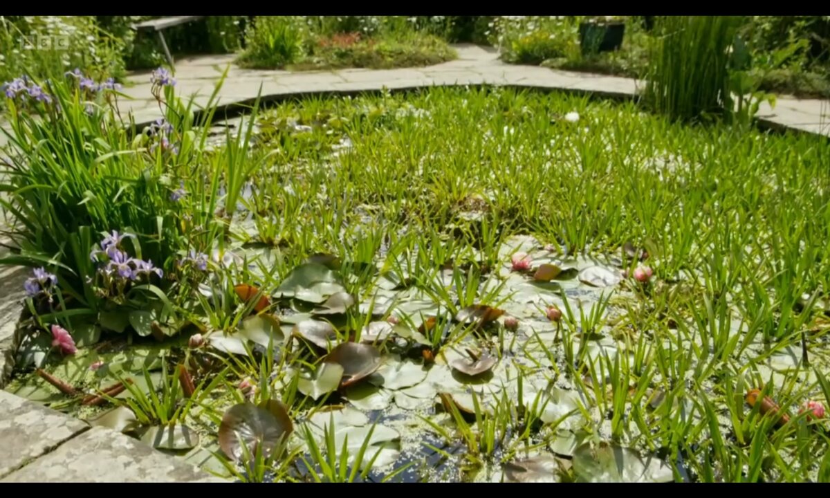 Screenshot_20260611_203136_com.yandex.browser