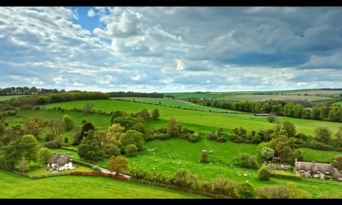 Screenshot_20260612_230349_com.yandex.browser
