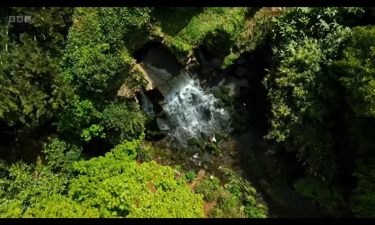 Screenshot_20260612_230726_com.yandex.browser