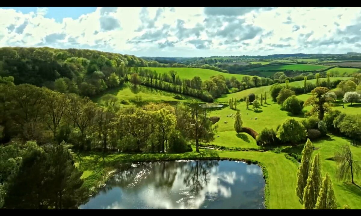 Screenshot_20260612_231956_com.yandex.browser