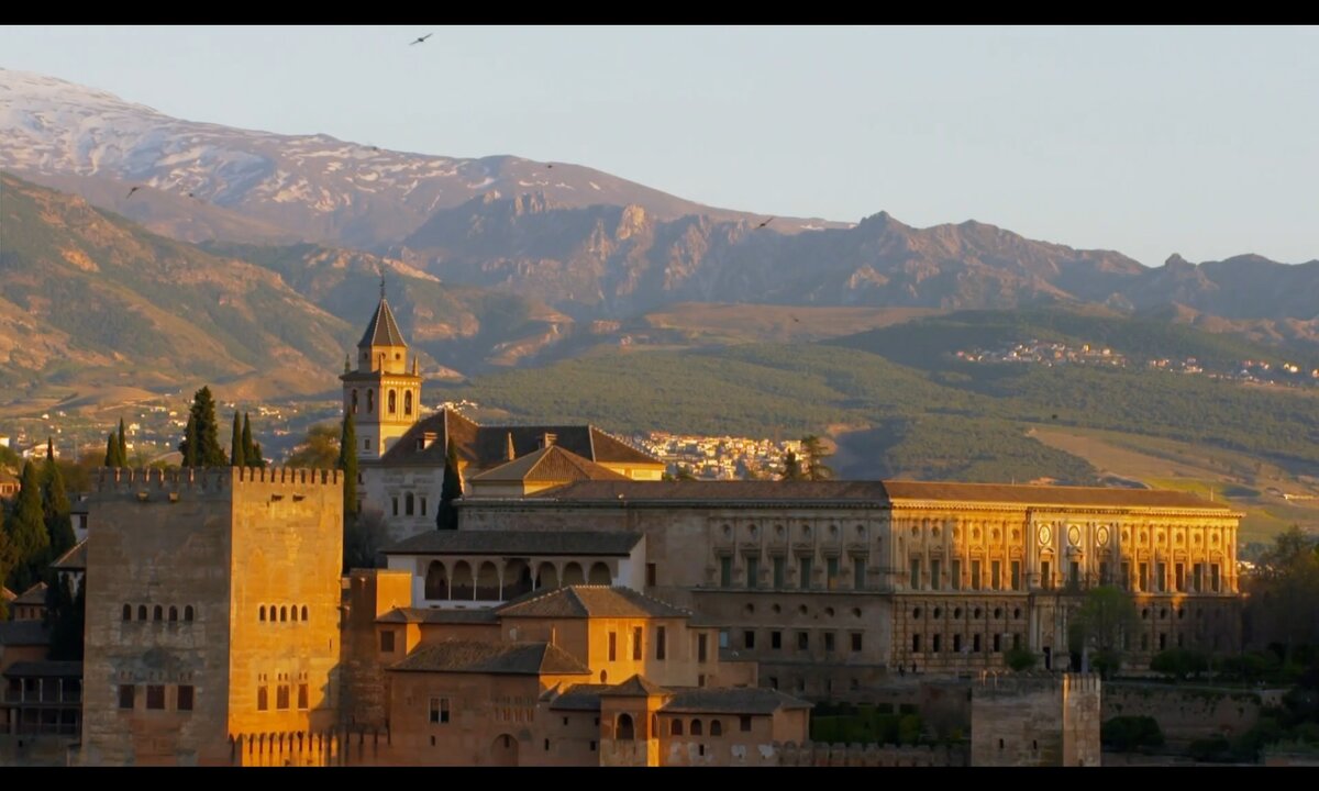 Screenshot_20260614_124042_com.yandex.browser