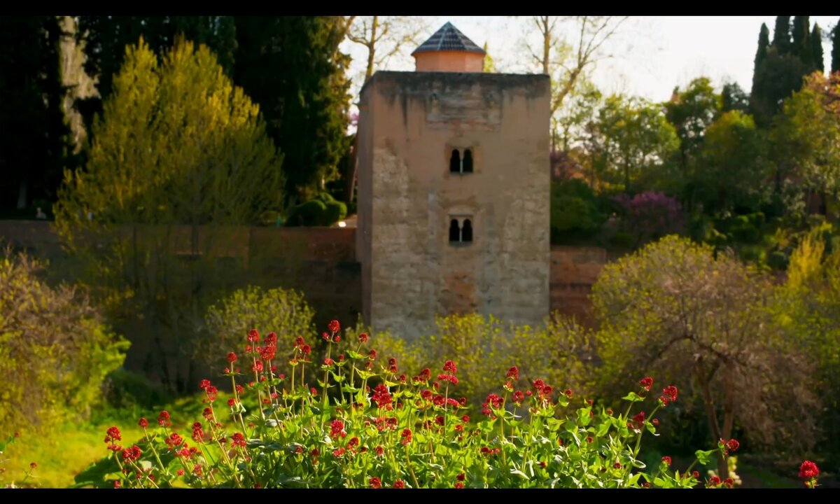 Screenshot_20260614_124136_com.yandex.browser