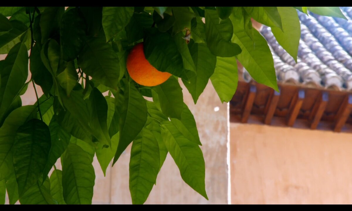 Screenshot_20260614_124702_com.yandex.browser