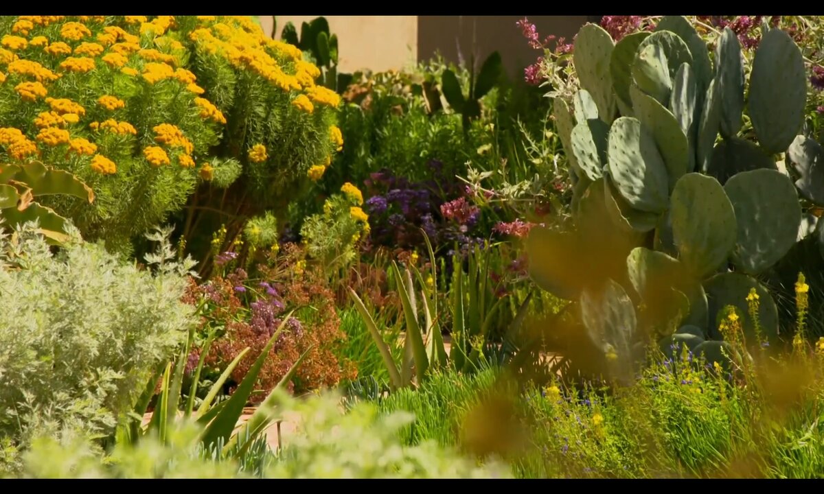 Screenshot_20260614_224441_com.yandex.browser